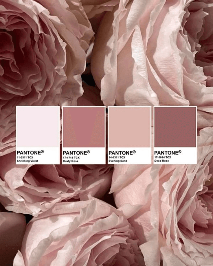 Rosewood Spa floral palette inspiration